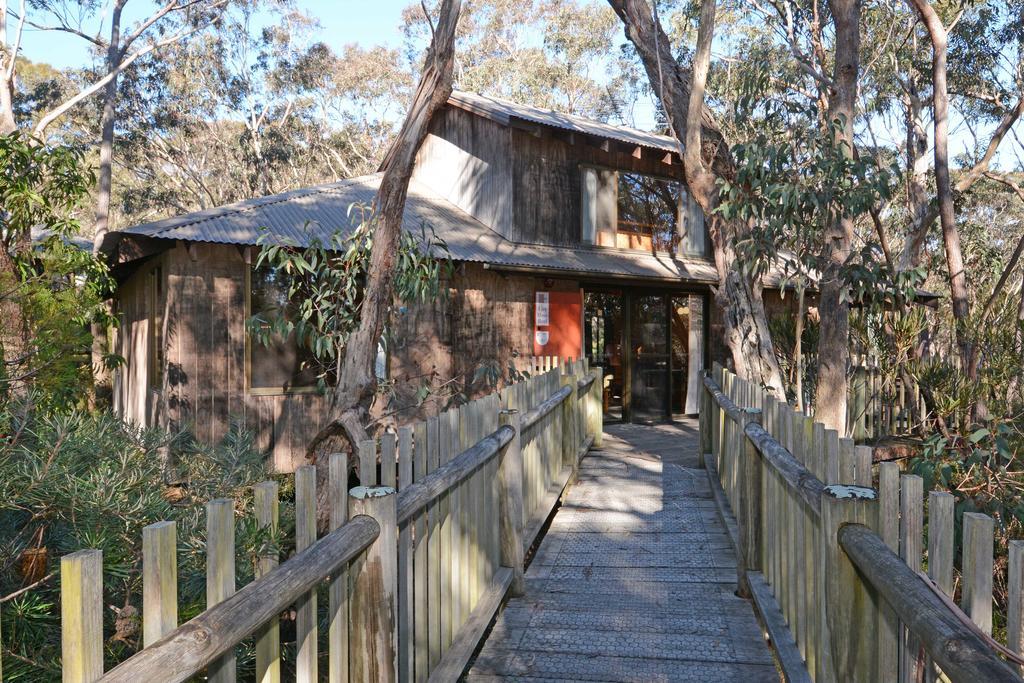 Jemby Rinjah Ecolodge Blackheath Habitación foto